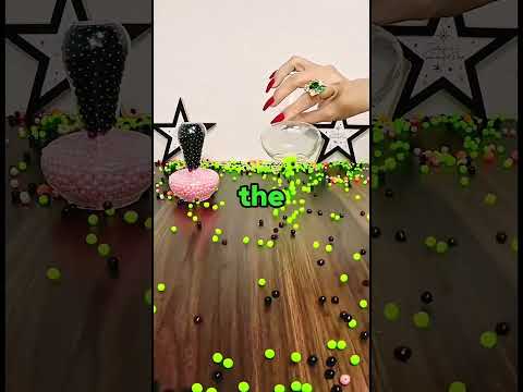 Dog X Ray Exposed His Drug Secret Shorts 