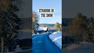 Standing In The Snow fypyoutube s shorts 