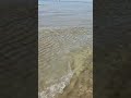 Чистейшее море в Анапе. Сентябрь, сезон продолжается!