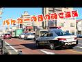 違反が続出してしまう謎の交差点!パトカーの目の前で違反するドライバーの情けない末路