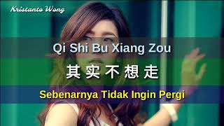 Qi Shi Bu Xiang Zou - 其實不想走 - 常安 Chang An (Sebenar