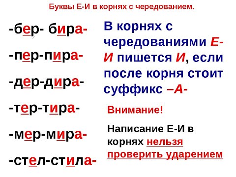 Дистанционное Онлайн 5 класс Чередование корней БЕР БИР, ПЕР ПИР, ТЕР ТИР, БЛЕСТ БЛИСТ, МЕР МИР