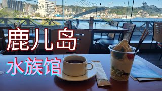 Kyushu   Io World Kagoshima Aquarium 鹿儿岛水族馆  鲸鲨喂食    海豚表演   电鳗鱼   海豹   猪排饭   季节限定！法式炖牛肉套餐    巨峰葡萄雪糕