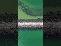 Creative Commons Attribution 4.0 International License