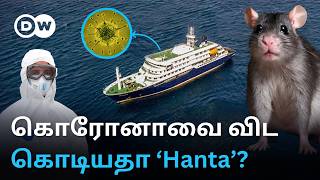 Is Hantavirus more dangerous than Corona? Why did the whole world tremble with fear after seeing ...
