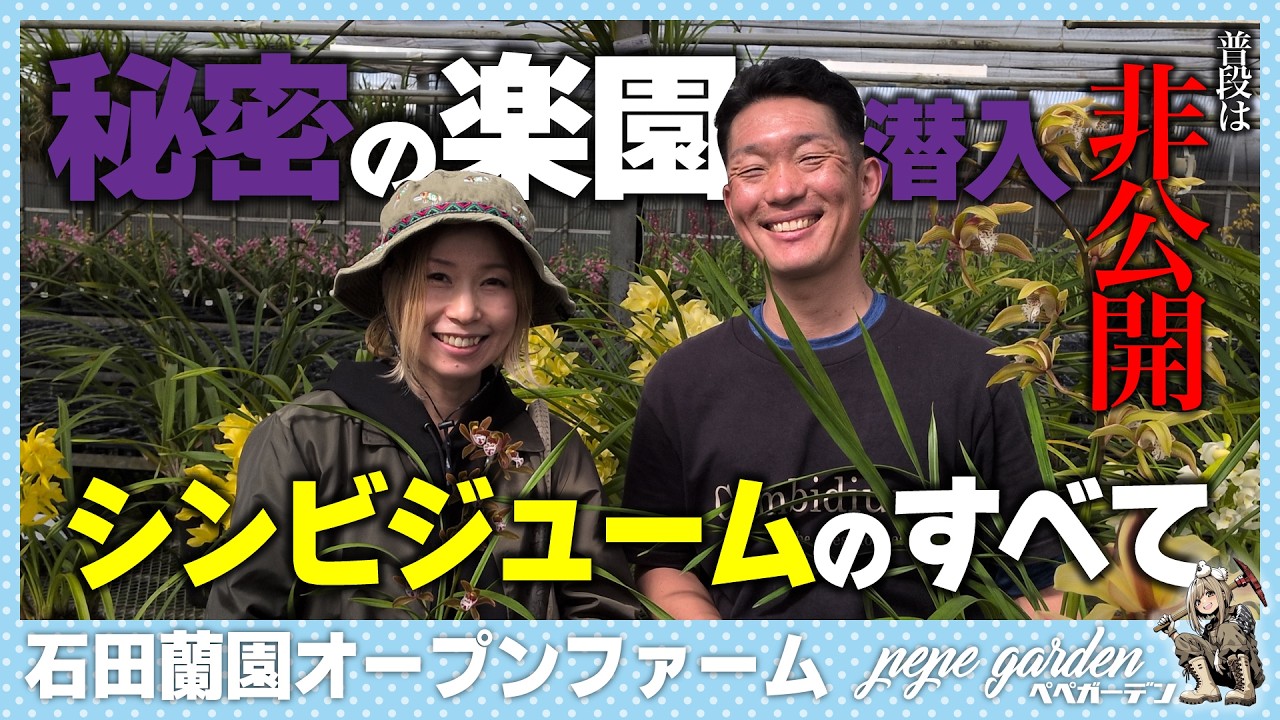 プロが教える「寒さに強い蘭」の選び方。マイナス6度でも耐えるシンビジュームの秘密とは？