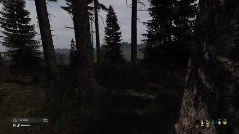 DayZ Hacker?? Aimbot on Project Red Tie