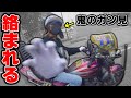 ツーリング中に思わぬ刺客と遭遇しました…【バイク】
