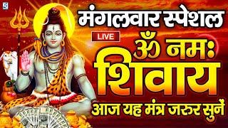 Download Lagu LIVE : सोमवार स्पेशल : ॐ नमः शिवाय धुन | Om Namah Shivaya ShivDhun | NonStop ShivDhun | Daily Mantra MP3