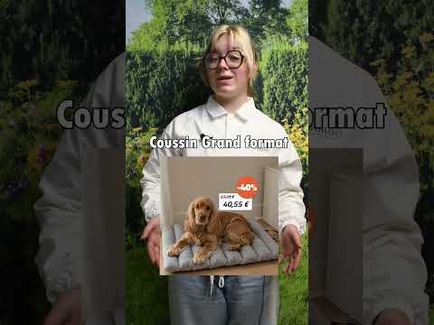 Découvrez notre sélection de coussins pour chien !