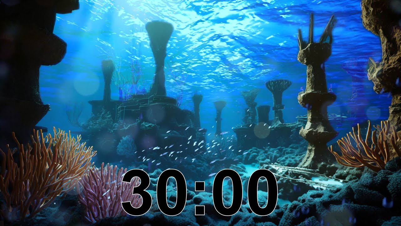 Singing Timer 30 Minute Timer | Singing Ocean π - YouTube