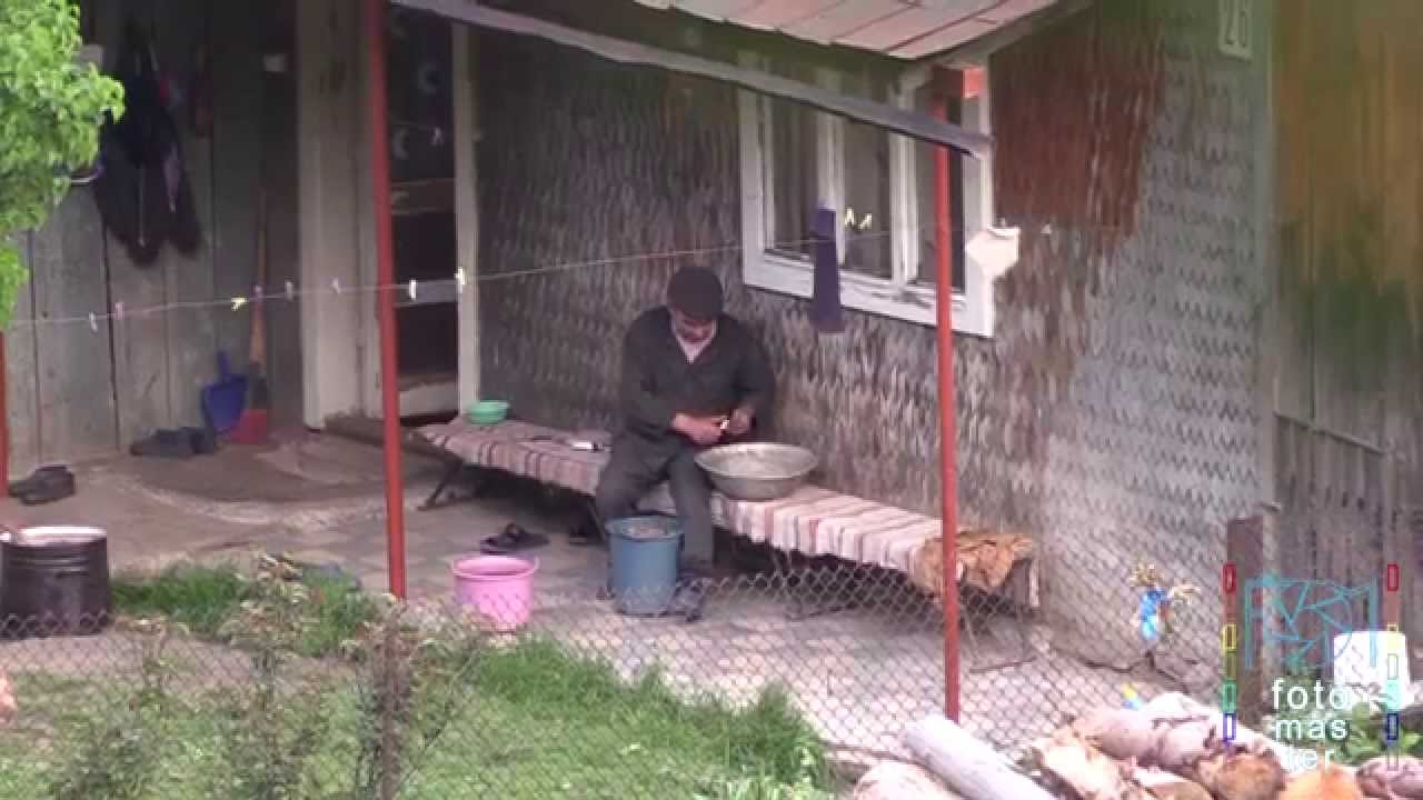 Ооо богдан балтачевский район