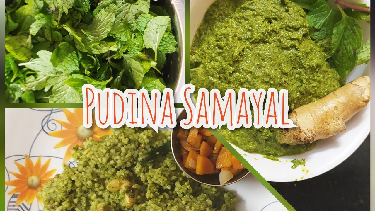 Pudina Rice In Tamil Pudina Thuvaiyal YouTube pudina-rice-in-tamil-pudina-thuvaiyal-youtube