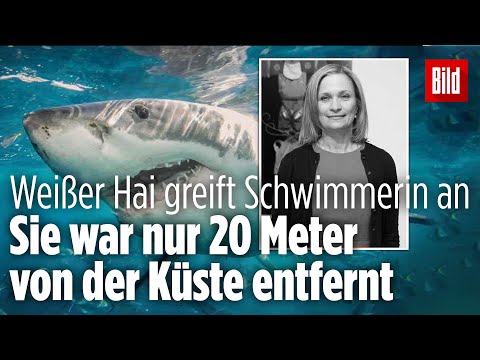Video: Eine Junge Frau Stirbt An Einem Hai-Angriff
