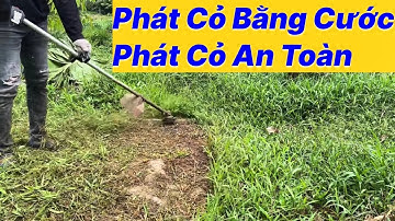 Phát Cỏ Bằng Cước : Máy Phát Cỏ Ba Lô  @AnhCắtCỏ #anhcatco