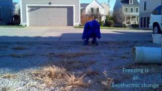 Morphsuits - Blue Morph Science! Profile