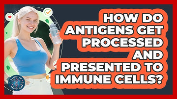 How Do Antigens Get Processed And Presented To Immune Cells? - All About the Immune System