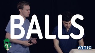 Balls - New Sketch Comedy Turtle Canyon
