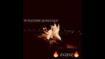 حالات واتس حزينة 2020 من مهرجان لساا منزلش مودي امين حالات واتس 2020 