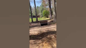 Tekno MT410 RC Perfect backflip