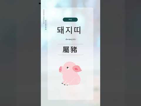 韓文12生肖 12간지 열두띠 Chinese Zodiac 돼지띠 屬豬 Pig 韓文 韓語 教學 韓劇 SHORTS 生肖
