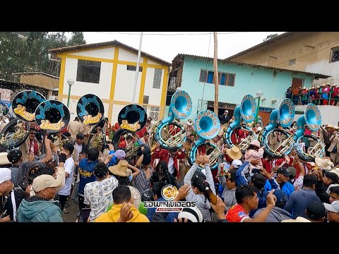NUEVA EXPRESON POMAPATA