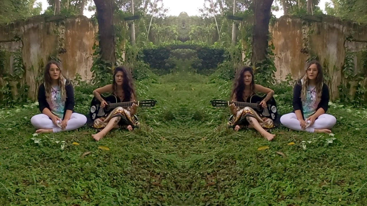 Beija flor - Força Verde