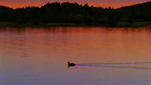 All Week Of Walk Around The Block With Barney (Screener) (All Week Version) FINAL PART