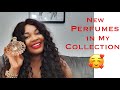 New Perfumes In My Perfume Collection | July 2020