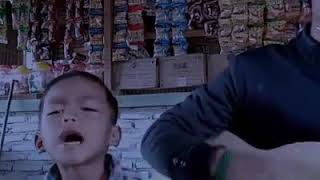 Download Lagu burung dalam sangkar MP3