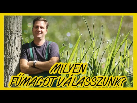 Videó: Mi a fűmag túlvetése?