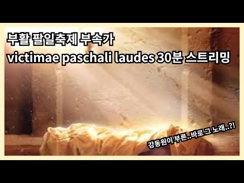 영상썸네일