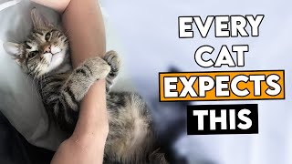 5 Unspoken Rules Cats Expect You to Follow