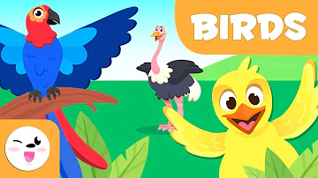 Birds for kids - Vertebrate animals - Natural Science For Kids