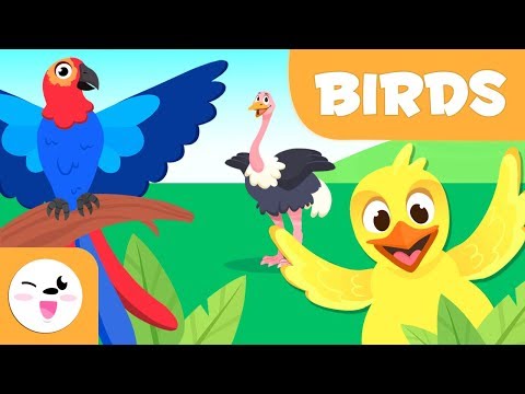Birds for kids - Vertebrate animals - Natural Science For Kids