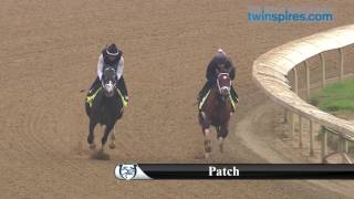 Patch 2017 Kentucky Derby Hopeful 4.28