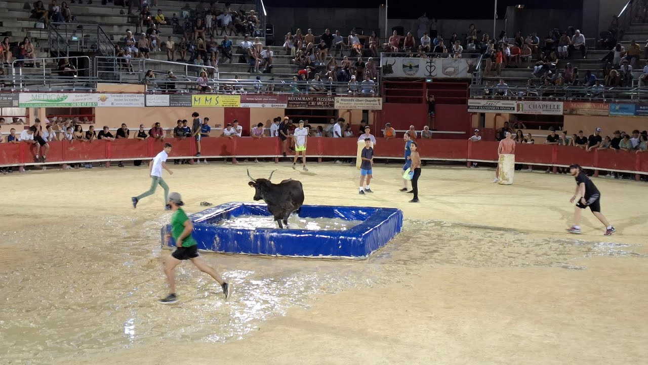Toro Piscine 29 juillet 2024