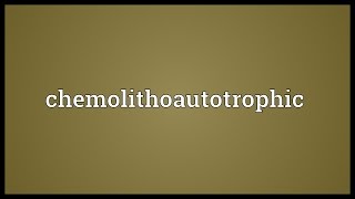 Chemolithoautotrophic Meaning