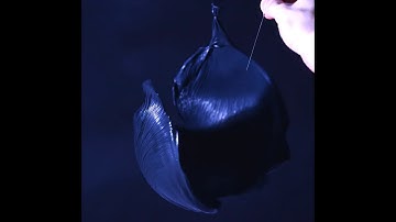 PiXPi HackadayPrize 2019 Contest Entry Video