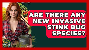 Are There Any New Invasive Stink Bug Species? - The World of Agriculture