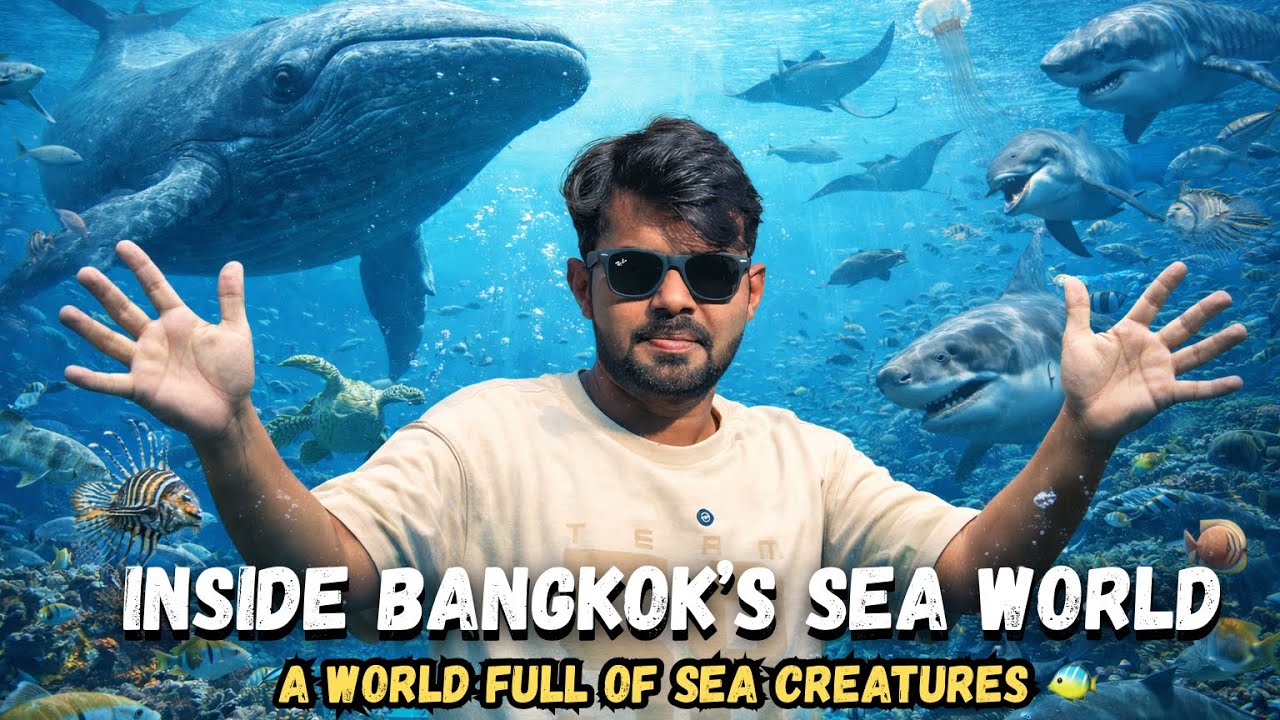 Inside Bangkok’s SEA LIFE OCEAN WORLD | A world full of Sea Creatures | Thailand 🇹🇭 