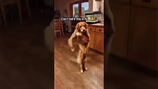 Cant Tell If This Is Ai 