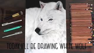 Drawing a white wolf | Tisya the artist