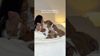 Life as a dog mom 🐾 #dogmom #dogshorts #cute #viral #relatable