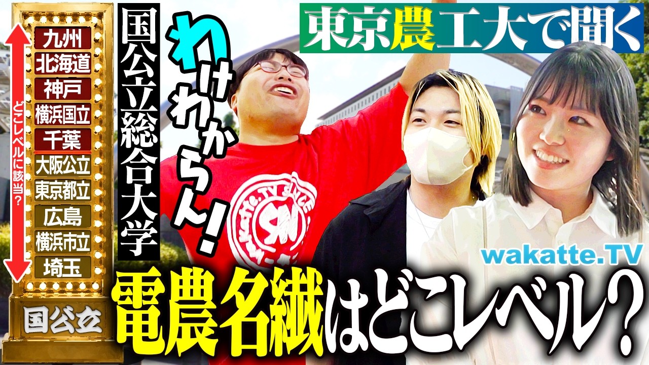 wakatte.TV公式サイト - 日本の学歴社会をブラックに皮肉る！