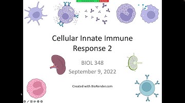 Immunology Fall 2022: Lecture 5 Cellular Innate Immunity 2
