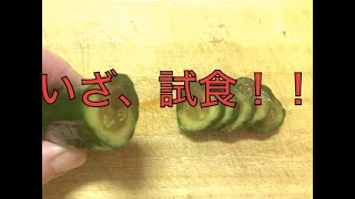 三井の漬物7種食べ比べ