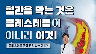 9년 동안 240만 명을 대상으로 연구한 콜레스테롤 수치만큼 중요한 것