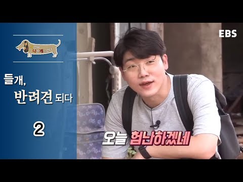 세상에 나쁜 개는 없다 - <strong>들개</strong>, 반려견 되다_#002