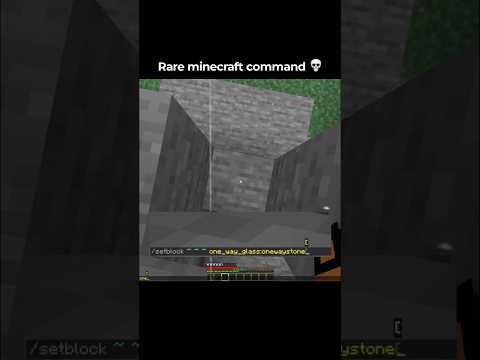 Minecraft RARE Command Moment